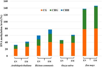 Regulation of DNA Methylation During Plant Endosperm Development